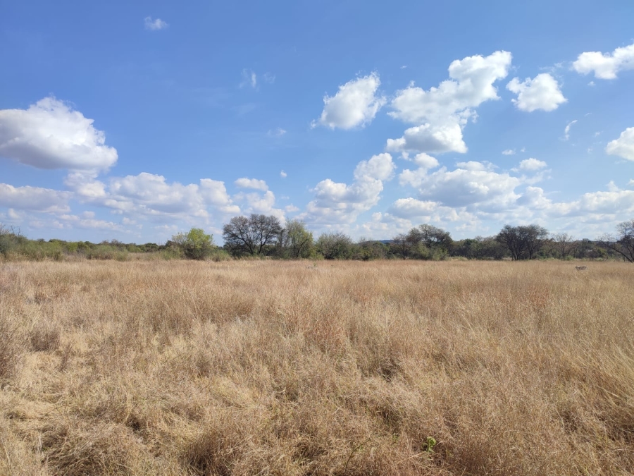 0 Bedroom Property for Sale in Zeerust North West